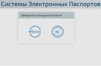 Портал системы электронных птс